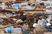 5 Ways to Win the War on Plastic Pollution