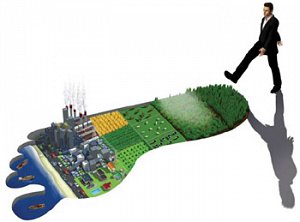 Environmental Engagement Drives the Conditions for Long-Term Economic Growth… and Brand Survival